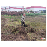 鼎城郭家铺街道：退伍老兵忙开荒 打好粮食生产保卫战 