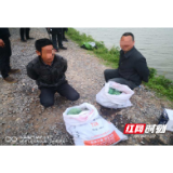 西洞庭：三邻居结伴偷鱼 被蹲守民警抓个正着