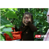 石门：“小”农场四季瓜果飘香助脱贫
