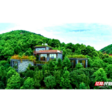 常德：电子消费券引来“花田喜事”