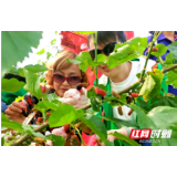 津市：宣传“潮”方式 助力青苗旅游广传播