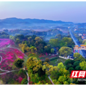 红头文件来了！湖南常德5A桃花源乘风破浪再远航