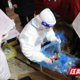 武陵区白马湖街道开展冷链食品巡查工作保障食品安全