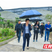 桃花源：用文创生态振兴清江铺村