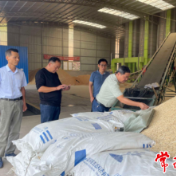 【我为群众办实事】市农科院技术服务送田间