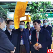 石门柑橘在第五届长沙果品产业博览会上获得三项殊荣