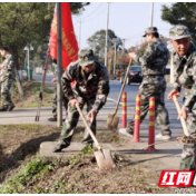 常德经开区石门桥镇开展退役军人助力乡村振兴暨环境整治活动