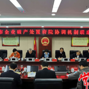 常德市召开企业破产处置府院协调机制联席会议
