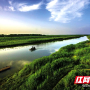 常德唯一！安乡县成功获批省级农业科技园区