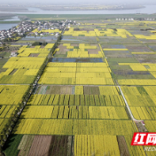 国网津市市供电公司全力护航企业节后复工复产