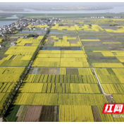 石门夹山镇：春回大地暖 春耕正当时