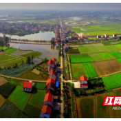 战配网降线损优服务——津市保河堤供电所全力推动供电提质增效