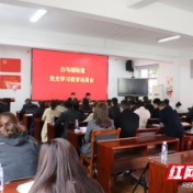 知史明智 谱写新篇章 武陵区白马湖街道开展党史学习教育动员大会