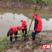 新时代文明实践耀武陵 | 芷兰街道：保护河渠 大力弘扬雷锋精神