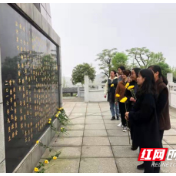 新时代文明实践耀武陵|白马湖街道：祭奠革命先烈 传承红色基因