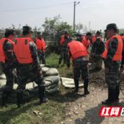 武陵区芦荻山乡：防汛抢险大练兵，防患未然保安全