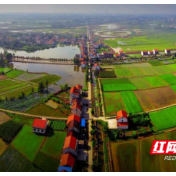 石门宝塔社区：党员示范我带头，志愿活动我先行