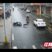 安乡：小黑狗街头“放飞自我” 带翻电动车和骑车老人