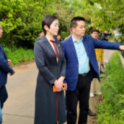 常德市领导督导生态环境问题整改时提出：让绿色成为常德高质量发展的底色