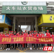 武陵区南坪街道开展为群众办实事“党旗飘扬，志愿同行”主题党日活动