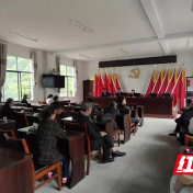 桃源西安镇：多措并举 压实责任 为党委换届保驾护航
