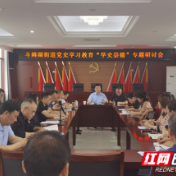 鼎城斗姆湖街道开展党史学习教育“学史崇德”专题研讨会