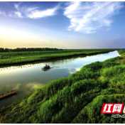 常德：100名“民间河长”上岗