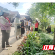 柳叶湖花山社区打造“花山有花”新庭院