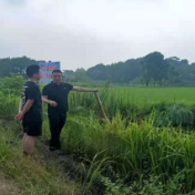 我为群众办实事|鼎城斗姆湖街道：溺水警钟常响，安全时刻记在心头