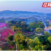 桃花源旅游管理区荣获全市经济发展奖