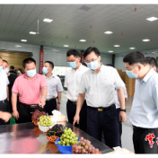 邹文辉赴澧县调研时指出：准确把握宏观经济走势 加快建设澧水流域中心城市
