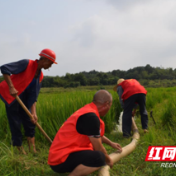 津市市无职党员破除“三无”，投身志愿为民服务