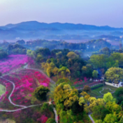 雨雪天气还会持续 常德未来一周最低气温低至﹣3℃