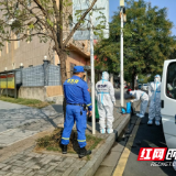 抗疫在一线丨武陵区南坪街道：战疫磨砺的青春更加出彩