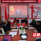 武陵区永安街道楠沙社区非公有制联合党支部学习宣传贯彻党的二十大精神