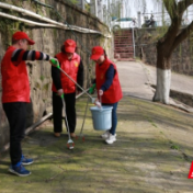 常德市北正街小学：保护母亲河，饮水思护源