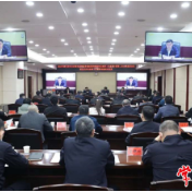 全市打击治理电信网络诈骗和跨境突出犯罪协调会召开