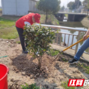 武陵区芦荻山乡：志愿者义务植树，共建美丽武陵