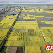 文明春风沐桃源