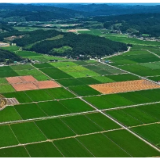 【保护耕地 常德行动】耕地保护常德方言情景剧③：耕地建房“八不准”，乱占乱建零容忍