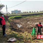 常德西湖镇强力整治耕地“非粮化”“非农化”