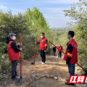 新时代文明实践耀武陵|南坪街道：以“林长制”促“林长治” 筑牢防火“安全墙”