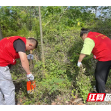 新时代文明实践耀武陵丨助力创文！启明街道皇经阁社区开展除草行动