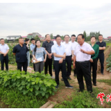市领导开展巩固脱贫成果“大走访”活动