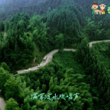 家乡美景推荐官｜桃源县政协副主席李廷芬邀您畅享亲水之旅