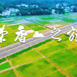 家乡美景推荐官｜桃源县委常委宣传部长丁利民邀您共享茶香之旅