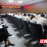 桃源经投召开公司工作推进暨作风整治专题会
