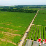 常德两基地被授予全国农作物病虫害绿色防控技术示范推广基地