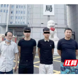 澧县警方速破两起砸车玻璃盗窃案，抓获违法行为人两名