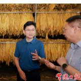 曹志强调研烟叶产业发展时强调：把烟叶产业打造成常德特色产业和富民产业